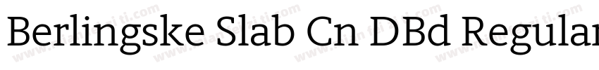 Berlingske Slab Cn DBd Regular字体转换